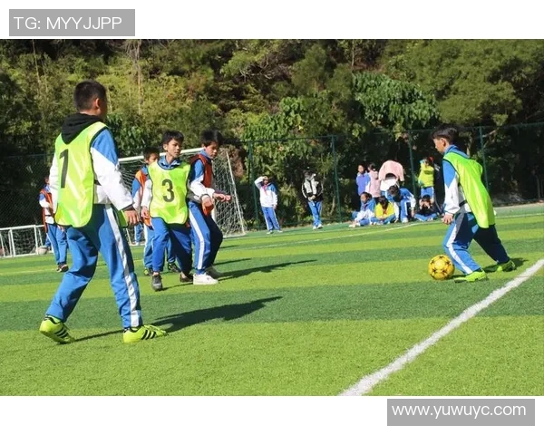 追逐绿茵梦想成为闪耀的足球明星的心路历程与奋斗故事 追逐绿茵梦想成为闪耀的足球明星的心路历程与奋斗故事