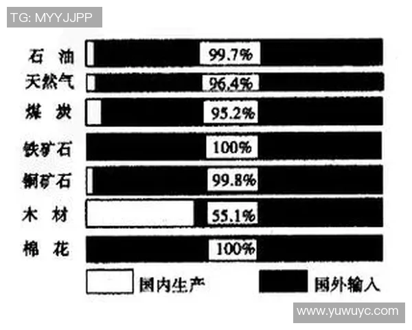 足球明星薪资与市场价值的深度分析及其背后的经济因素探讨