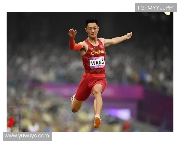 信阳地区杰出运动员盘点揭晓十大体育明星风采与成就