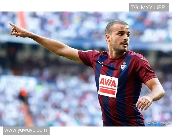 希洪运动与埃瓦尔的精彩对决分析及赛季表现回顾