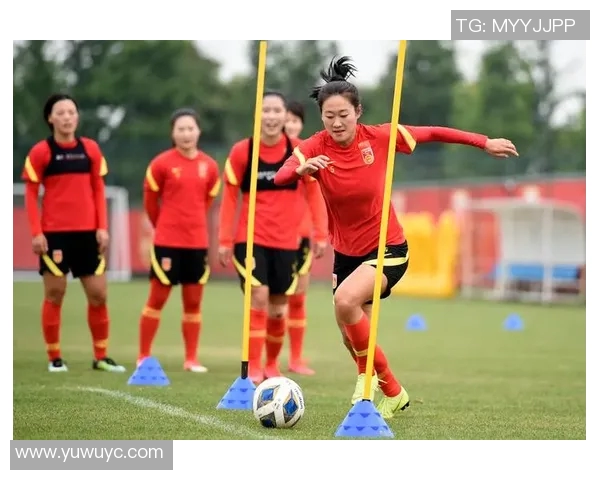 中国足球年鉴：回顾与展望中国足球发展的历程与未来挑战